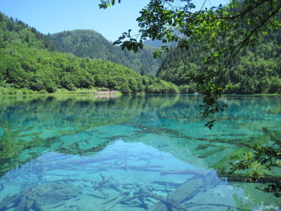 Crystal Clear Lake Tumblr