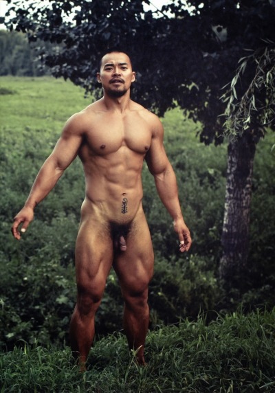 For asian muscle lovers!