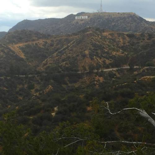 anisasothick:Hollywood (at Griffith Observatory)Look at...