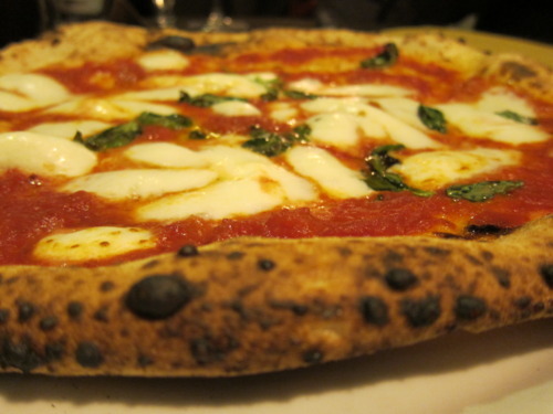 Neapolitan vs. Sicilian Pizza - Salerno's Pizza