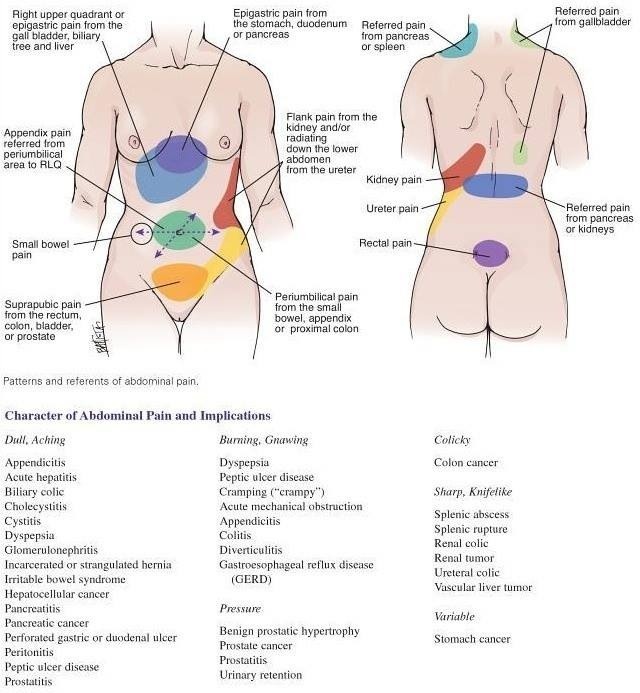 Stomach Ache Chart