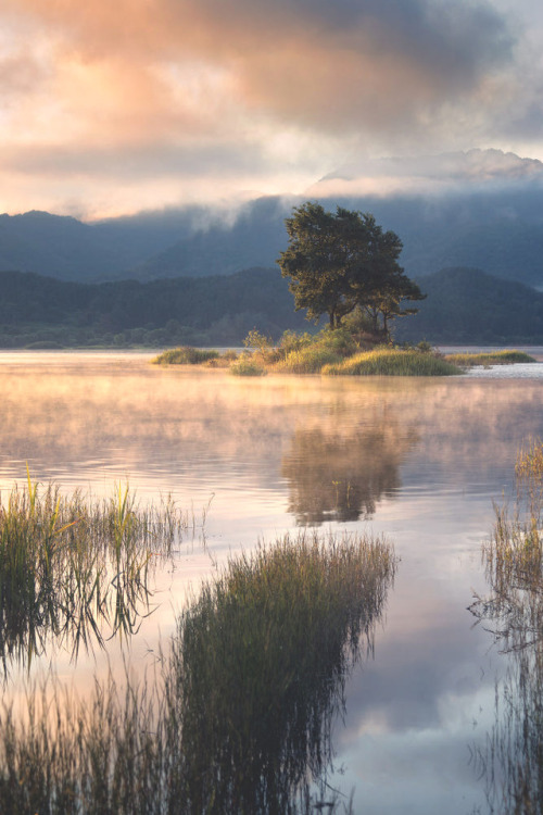 lsleofskye:Back to Korea | Nathaniel Merz