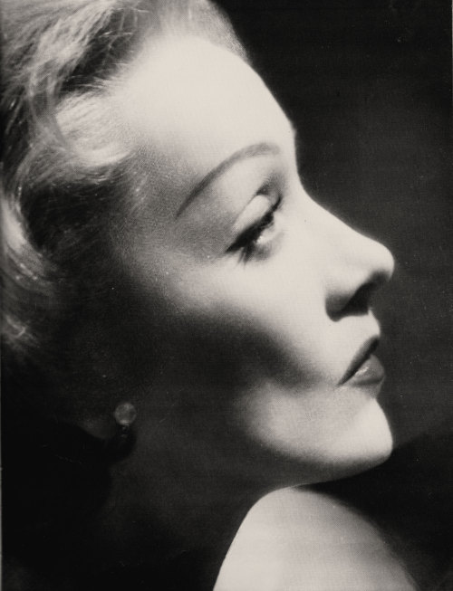 fortheloothoney:Marlene Dietrich