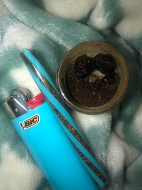 bonghitscantquit