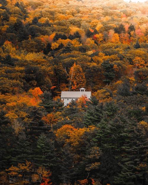 autumncozy:By mitchellmessana