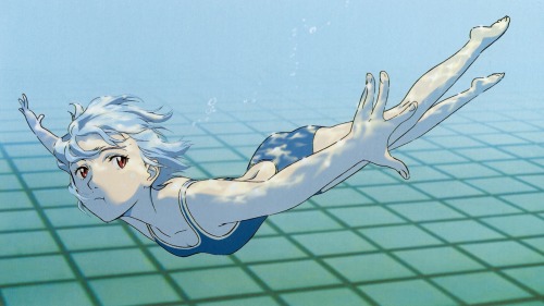 kingaragorn31:NGE - It’s time to swim 15