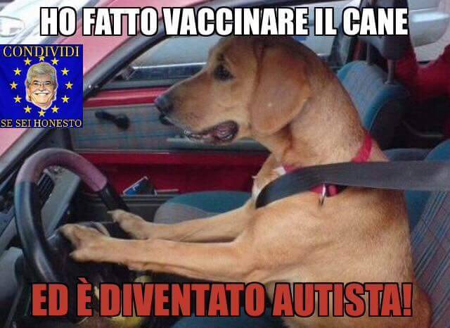 culochetrema:
“Il vaccino rende autisti, é ora di bbbasta!!!11!!
”