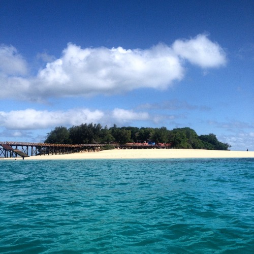 travelingcolors:Prison island, Zanzibar | Tanzania (by Nacho...