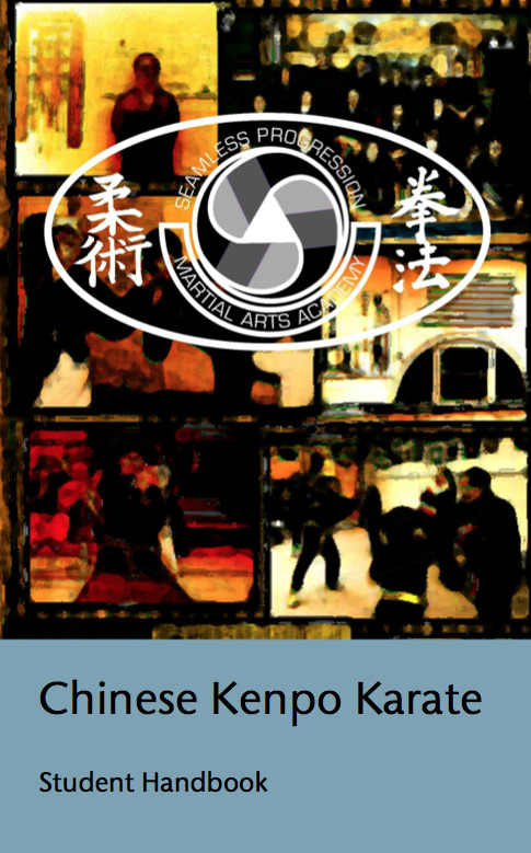 Seamless Progression Academy Of Martial Arts - 
