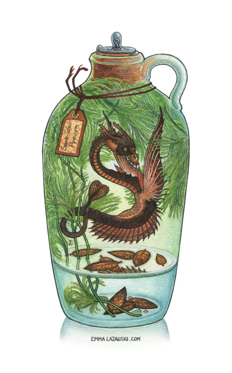 ex0skeletal:Bottled Seriesby emmalazauski