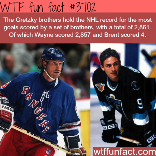 the-most-goals-scored-in-the-nhl-by-two-brothers