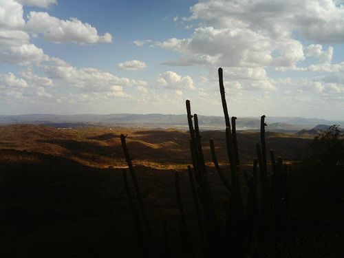 Porque não chove na Caatinga?