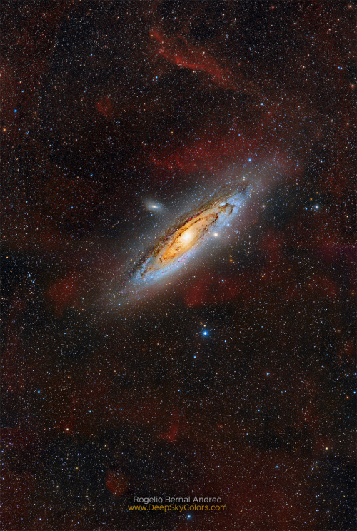 universe–stuff:M31, better known as the Andromeda...