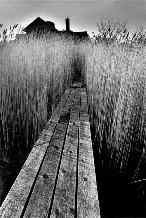 gravity-rainbow:Photography Jean-Loup Sieff