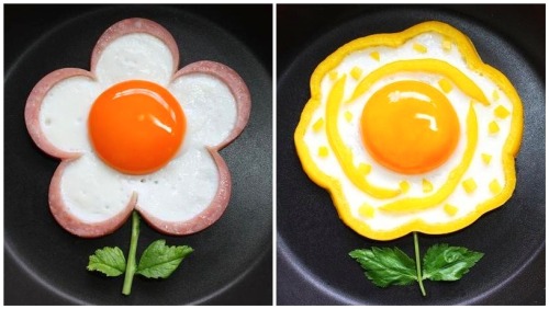 eggs fried eggs cute food cute food ideas breakfast ideas