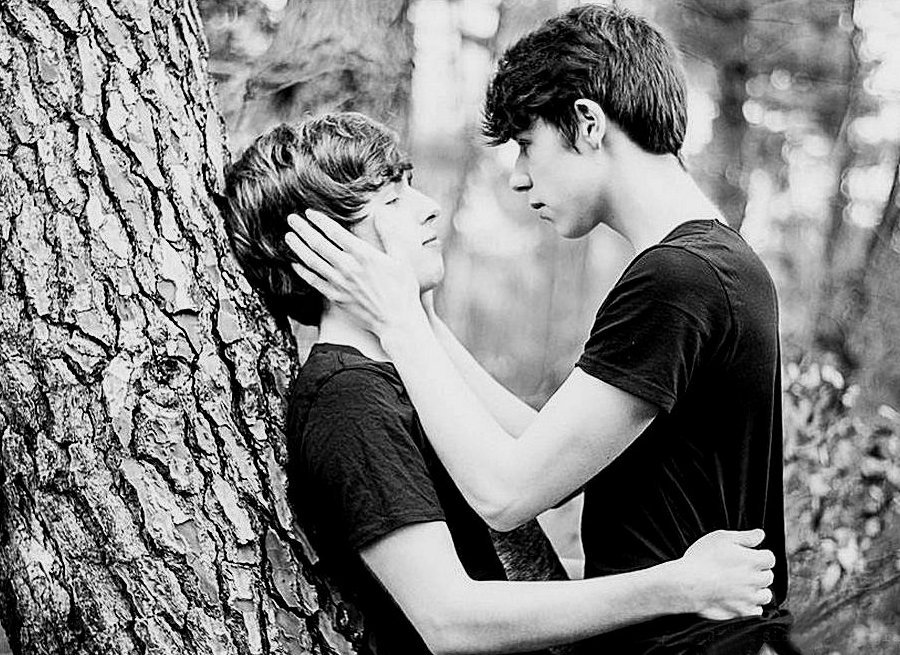 Gay boys who like men