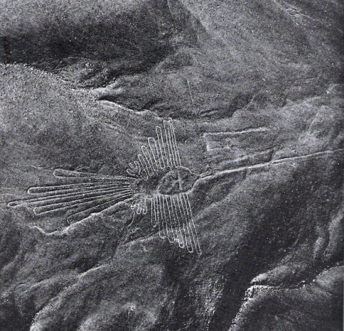 neo-catharsis:Marilyn Bridges,  Birdman, Nazca, Peru, 1979