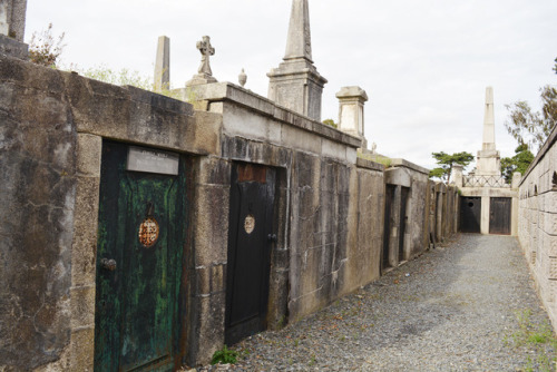 glorianas:mount jermone cemetery, dublin, ireland, october...