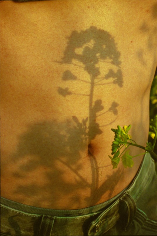 LI HUI