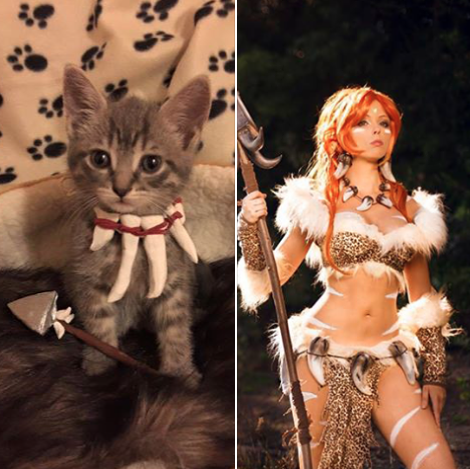 catsbeaversandducks:Nidalee The Bestial Huntress (League of...