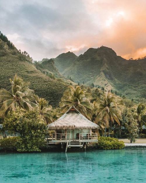 utwo:Pacific Tahiti© Madeline Lu