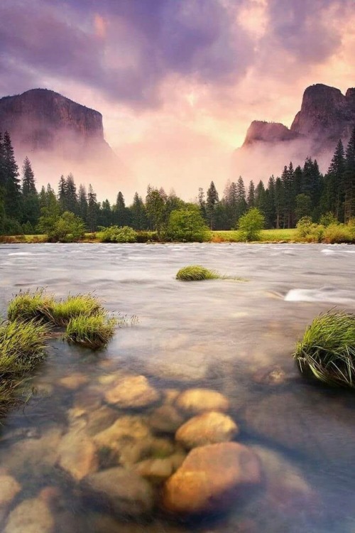 outdoorspastelnature:via Google+