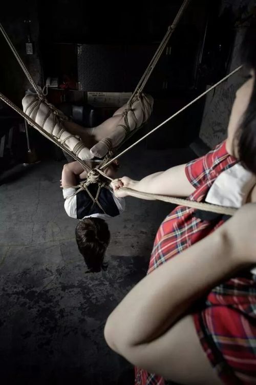 gorgone-kinbaku:A day in Tokyo… Ropes & pictures:...