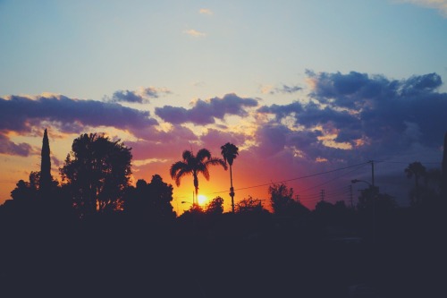 undevidedmind:California sunsets