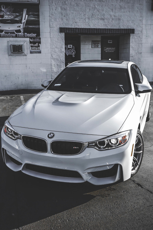 envyavenue:BMW M4 | Photographer