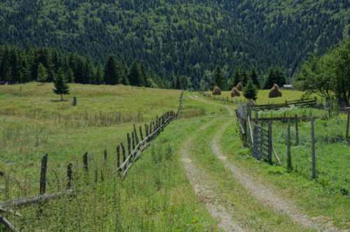 cozyfrogs:transfagarasan road, romania