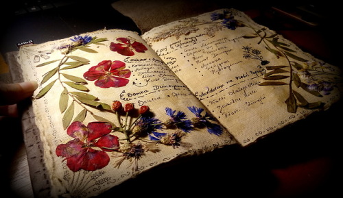 hanael-workshop:Do you remember my first  herbarium?  I made...