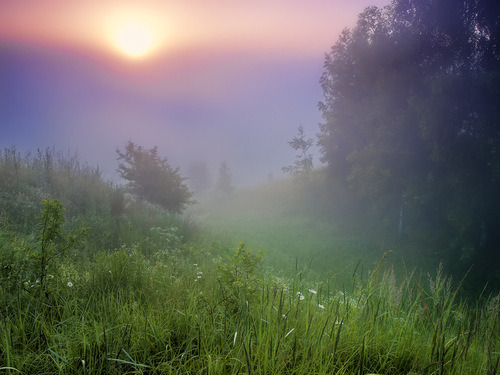 Soul Deep In Nature