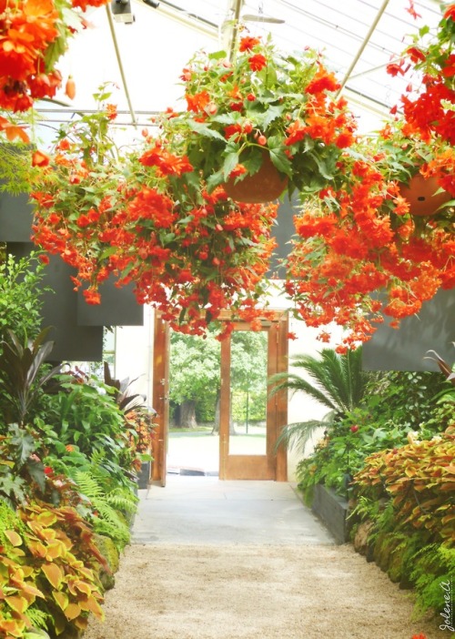 Fitzroy Gardens Conservatory, Melbourne