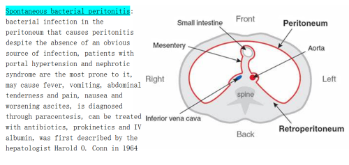 peritonitis on Tumblr