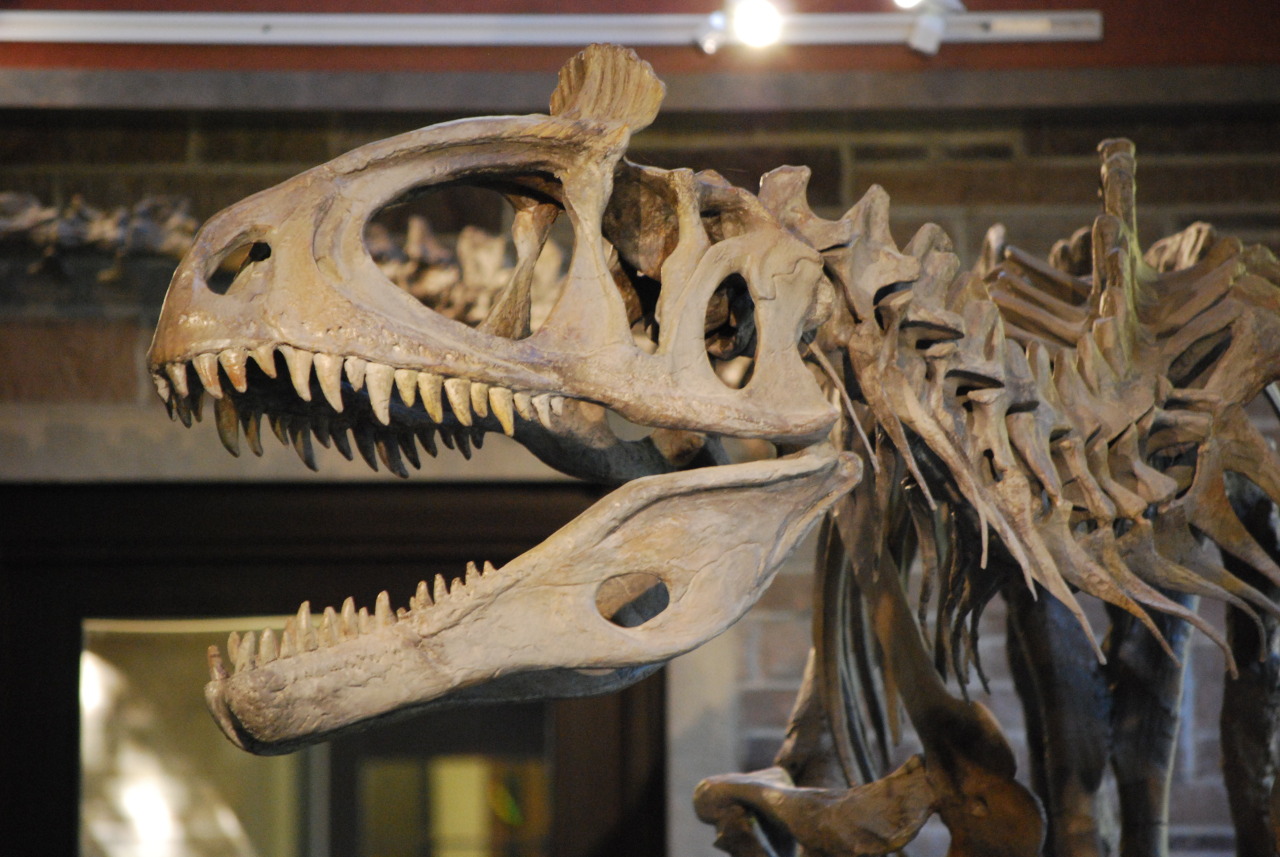 Монолофозавр скелет