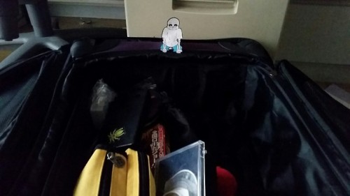 homesafterthemountain:my bitty, Tour, ‘helping’ me pack