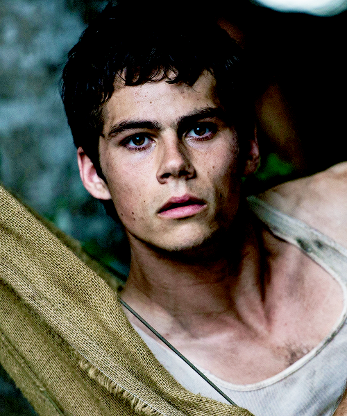 Jesperfahey Dylan Obrien In The Maze Runner 1656