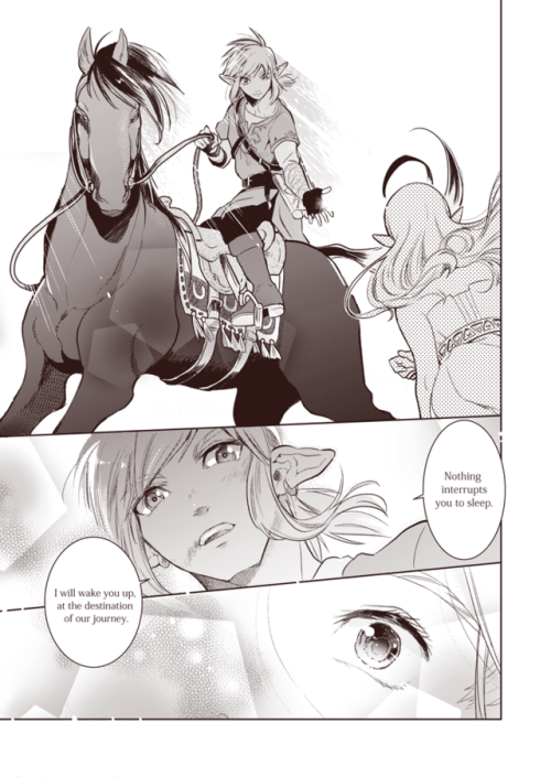 nanamename:I made my ZeLink comic English ver!My English is not...