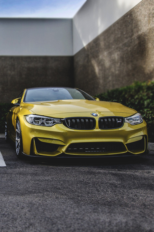 BMW M Power