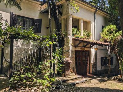 My old house in the Serbian countryside