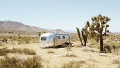 greensaberluke:Fallout New Vegas Aesthetic“Mojave, mo’...