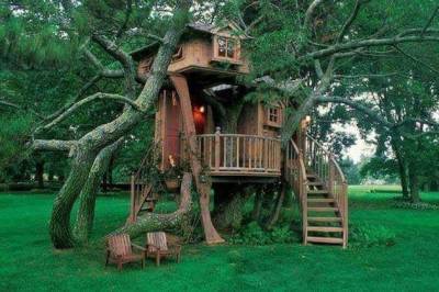 I never had a tree house as a kid, do you think 40 is too old to build one for yourself?