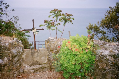 wornpath:cinque terre, italy