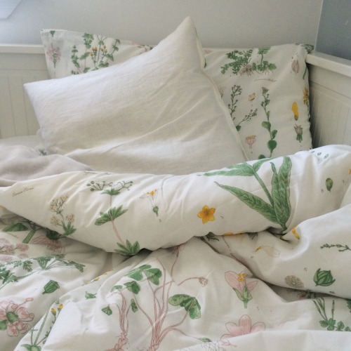 indya:fresh sheets