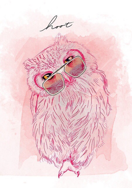 tumblr backgrounds owl Tumblr owl  wallpaper