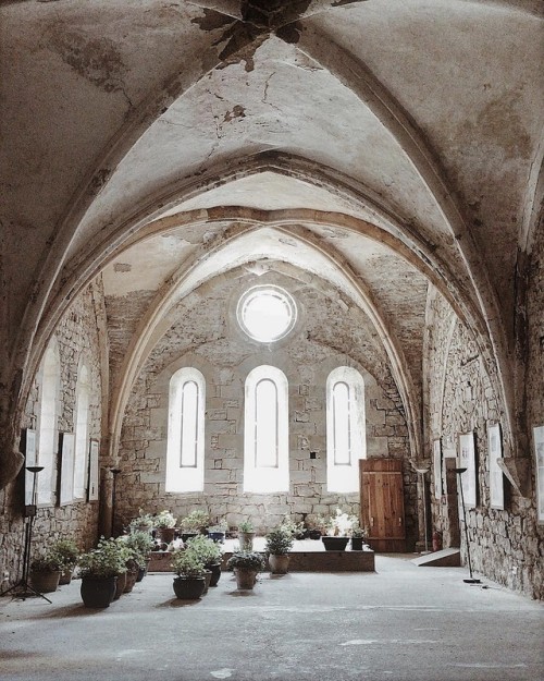 sabonhomeblog: Abbaye Sainte-Marie de Villelongue