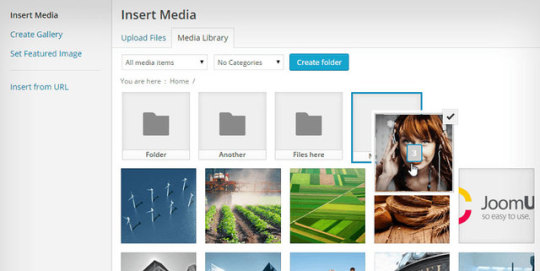 WP Media Folder v4.7.2 Nulled