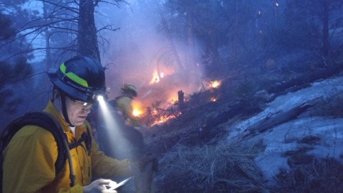 Wildland fire