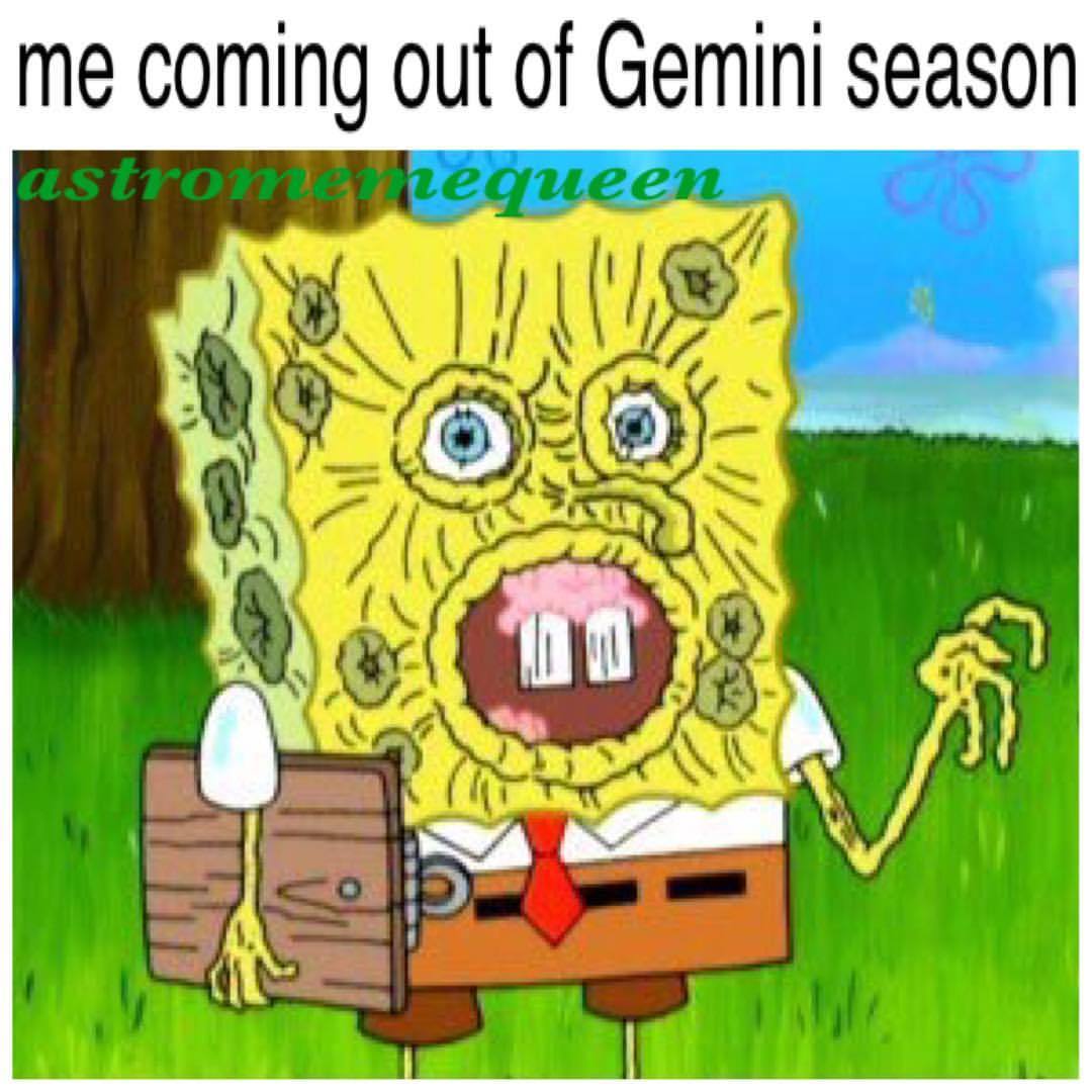 gemini season gemini memes funny
