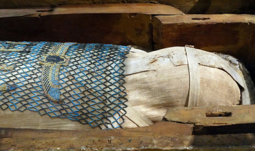 grandegyptianmuseum:Mummy inside the Coffin of...